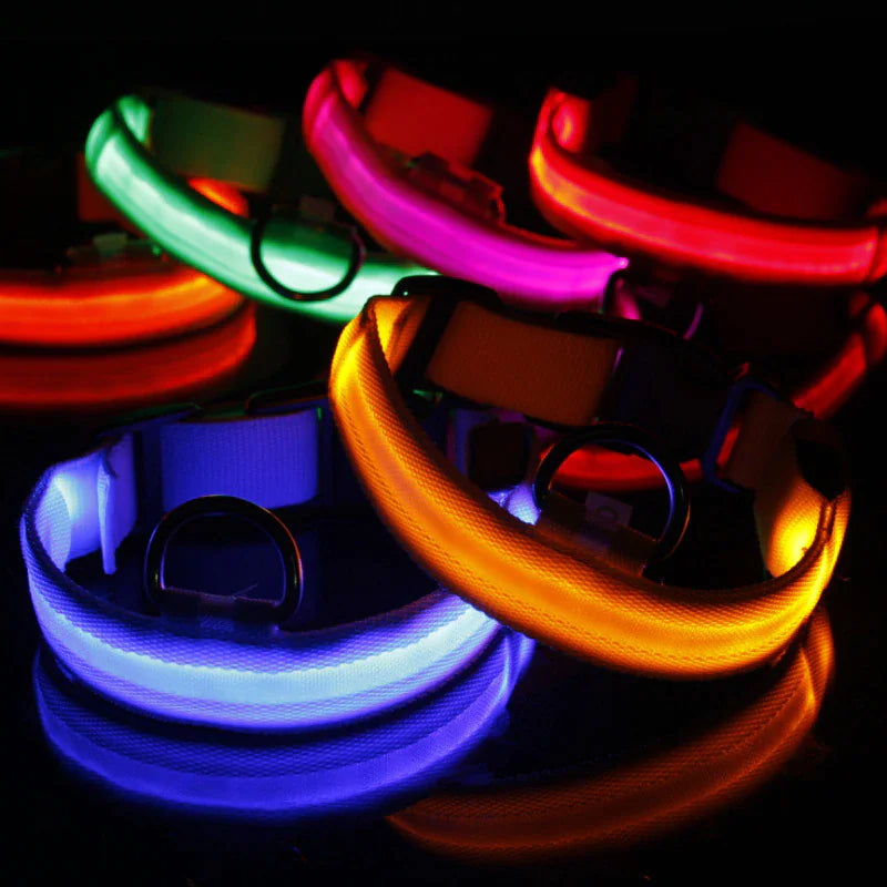 LED Adjustable Dog Collar Blinking Flashing Light Up Glow Pets Safety Waterproof