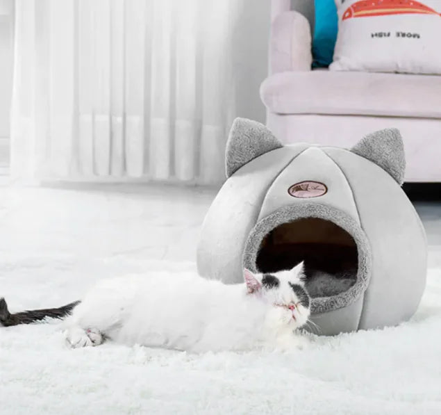 CozyNest Large inter Cat Sofa Bed