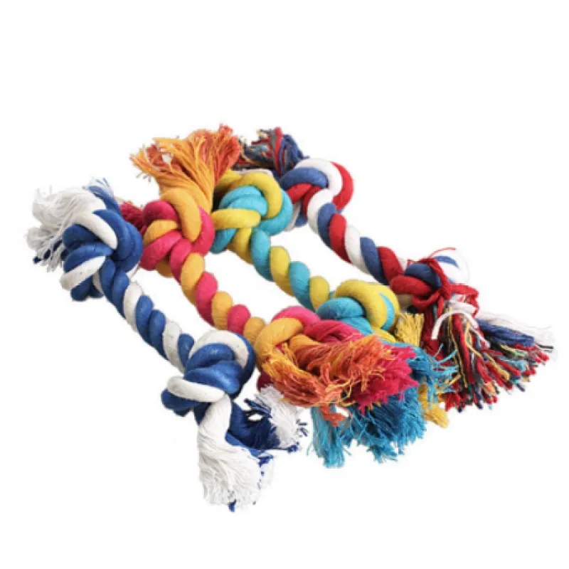 Pet dog bites rope toy