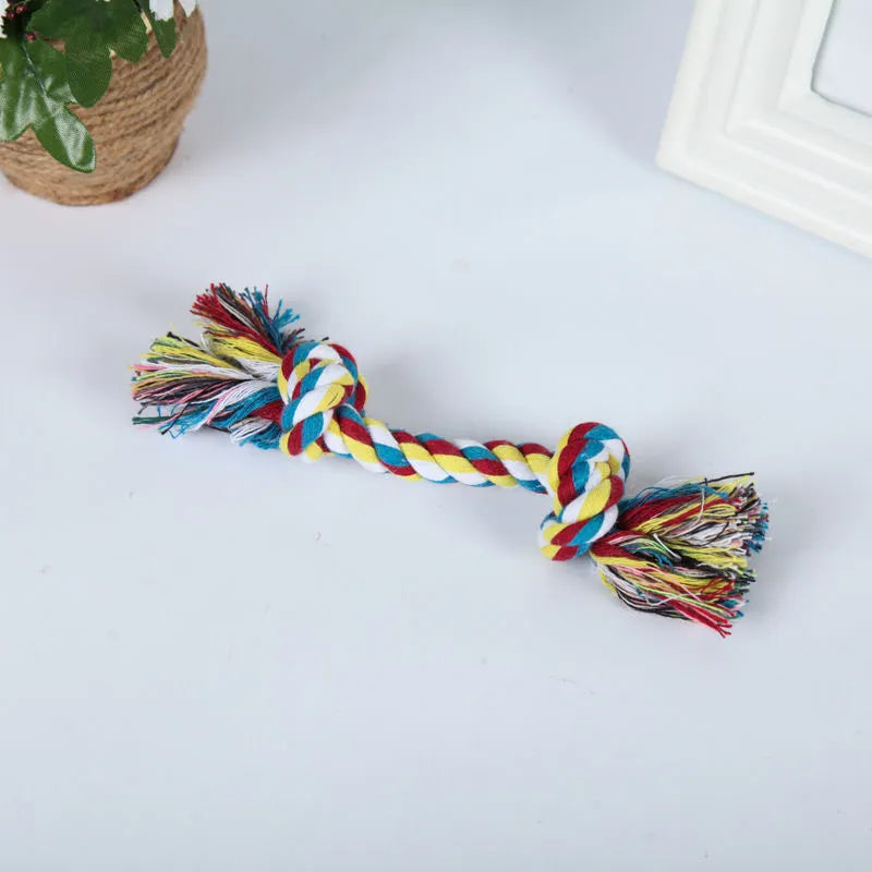 Pet dog bites rope toy