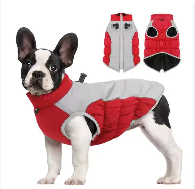 Windproof Winter Pet Clothes